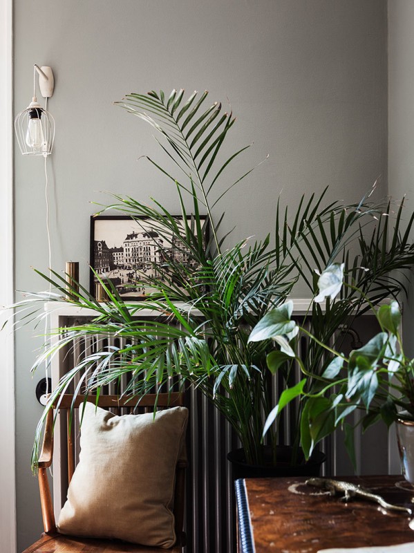 Шведская квартира с окнами 1920-х годов (51 кв.м.) Шведская квартира с окнами 1920-х годов (51 кв.м.)