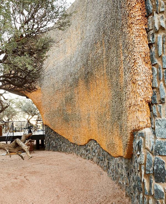 Африканское убежище дизайнера Порки Хефера