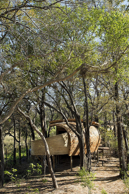 Бутик-отель Sandibe Okavango Safari Lodge в Ботсване от Nicholas Plewman Architects