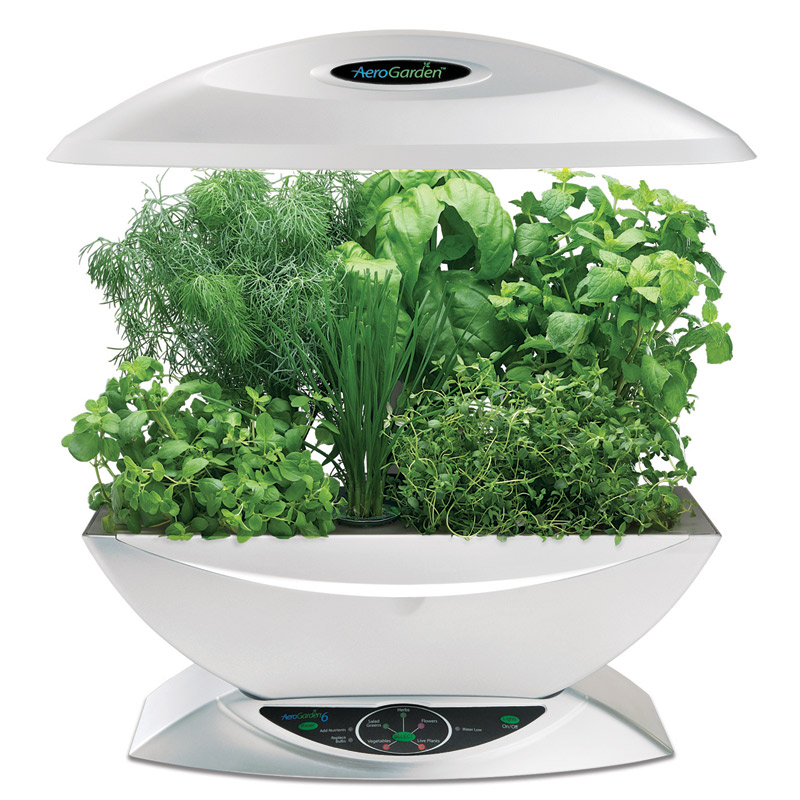 К вопросу о домашнем огородике: от примитивных до Kitchen Nano Garden