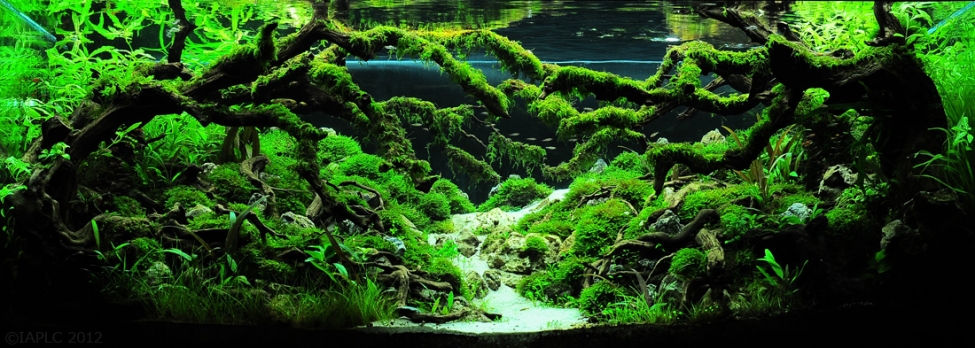 Aquascaping. Невероятный мир аквариумного дизайна