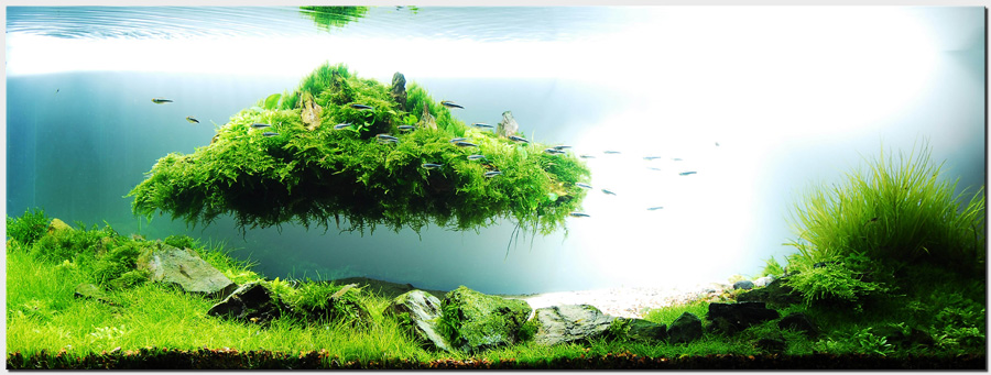 Aquascaping. Невероятный мир аквариумного дизайна