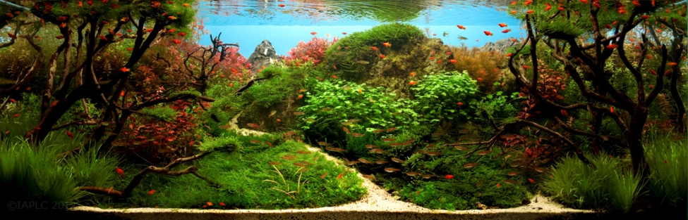 Aquascaping. Невероятный мир аквариумного дизайна