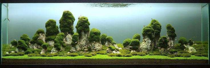 Aquascaping. Невероятный мир аквариумного дизайна