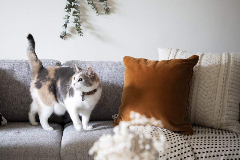 Очаровательная квартира с одной спальней в Куинсе, Нью-Йорк