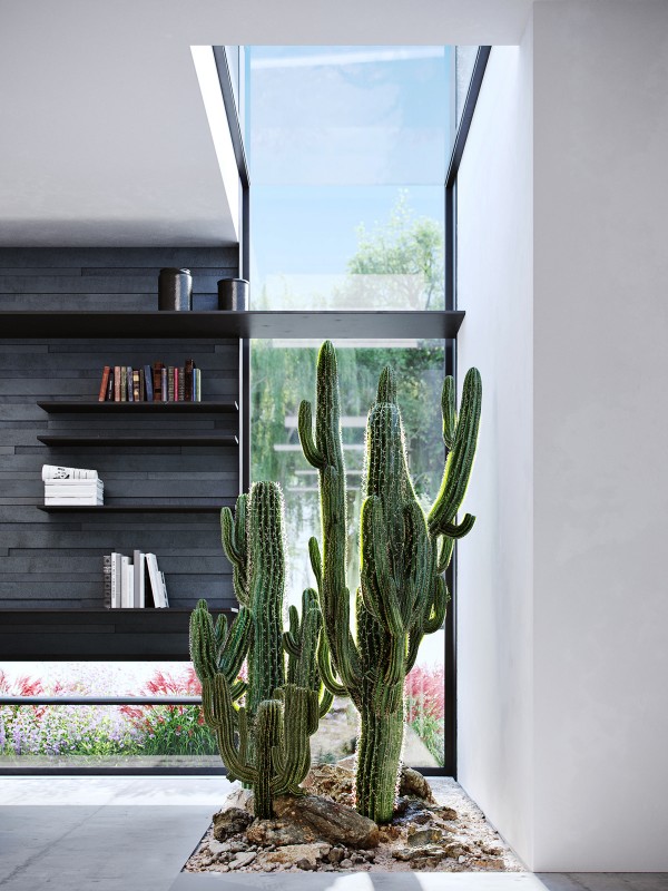 Частный дом в Израиле