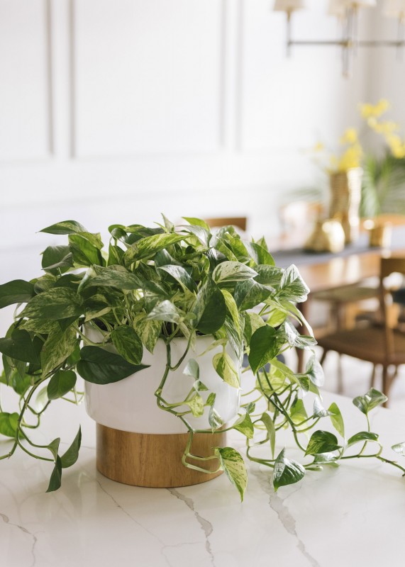 Прохладные цвета и медные акценты в интерьере просторных чикагских апартаментов Прохладные цвета и медные акценты в интерьере просторных чикагских апартаментов