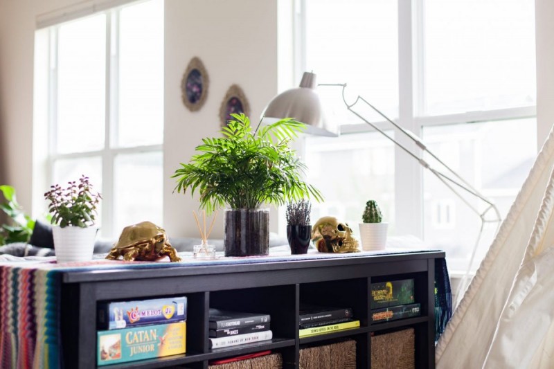 Творческий дом фотографа из Миннесоты