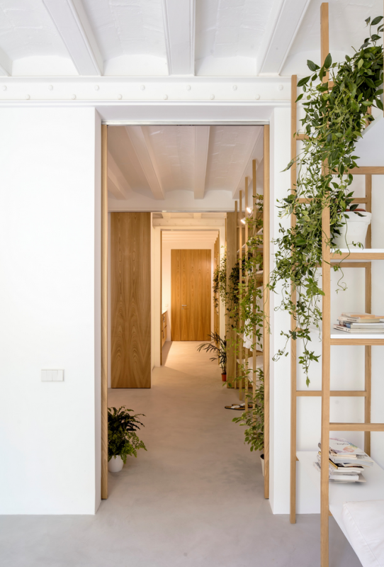 Преобразование квартиры 1880-х годов в два лофта, расположенных в районе Сан-Антонио в Барселоне Преобразование квартиры 1880-х годов в два лофта, расположенных в районе Сан-Антонио в Барселоне