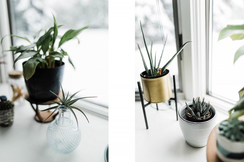 Контрастный интерьер ранчо в Миннеаполисе