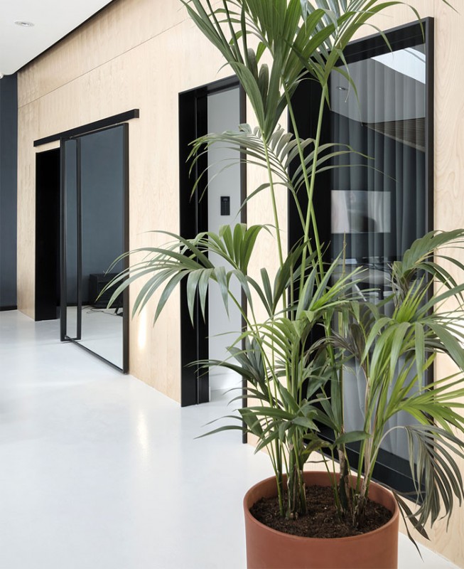 Открытая планировка просторной квартиры в Белграде