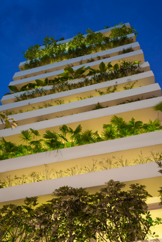 Оригинальный дом для семейной пары во Вьетнаме Оригинальный дом для семейной пары во Вьетнаме