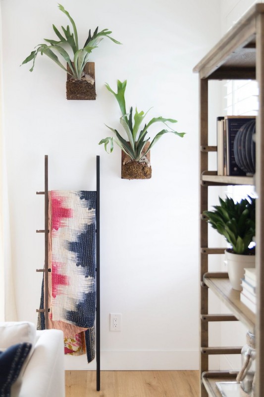 Уютный, наполненный светом дом в Калифорнии Уютный, наполненный светом дом в Калифорнии