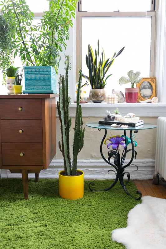 Красочный интерьер квартиры в Чикаго Красочный интерьер квартиры в Чикаго