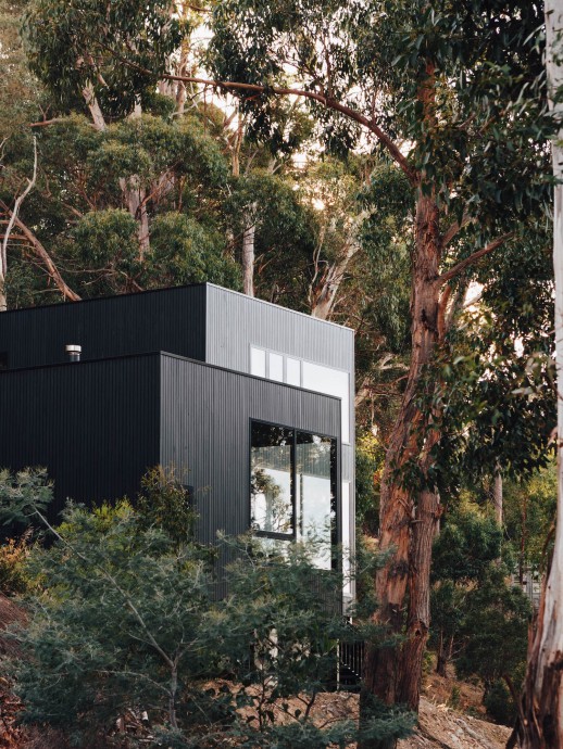 Дом фотографа Лорен Бэмфорд в Хобарте, Австралия