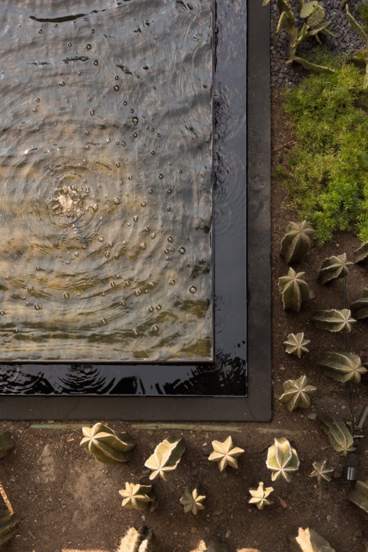 Реновация особняка в Мехико 1913 года постройки