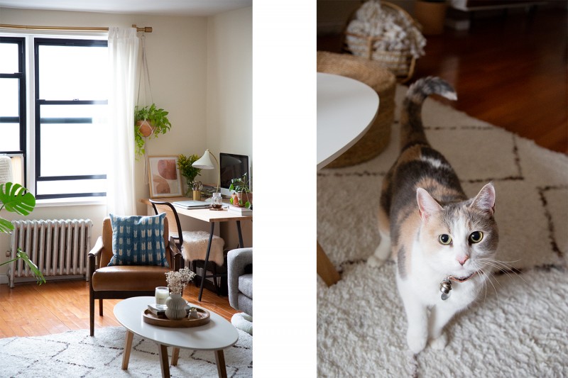 Очаровательная квартира с одной спальней в Куинсе, Нью-Йорк