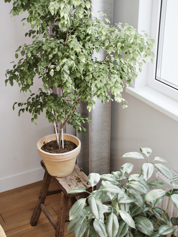 Спокойствие и уют: оформление компактной квартиры Спокойствие и уют: оформление компактной квартиры