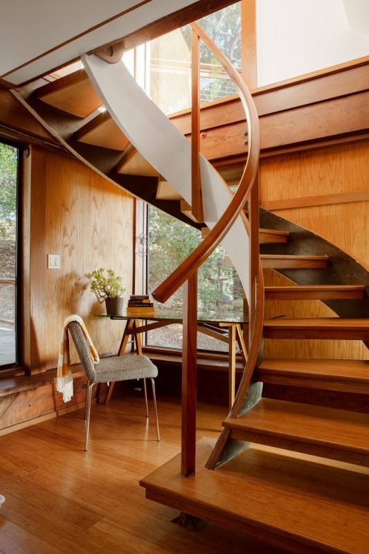 Панорамный вид на лес в уединенном "домике" на дереве Панорамный вид на лес в уединенном "домике" на дереве