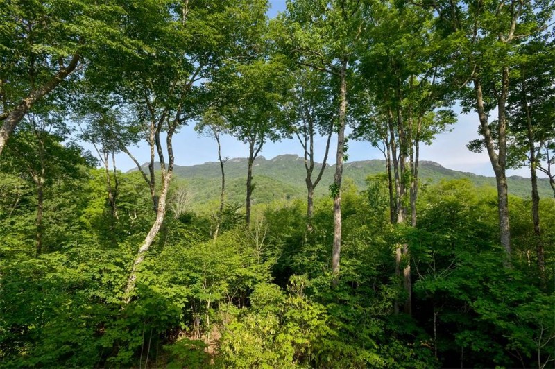 Особняк с красивым видом на горы в Северной Каролине Особняк с красивым видом на горы в Северной Каролине