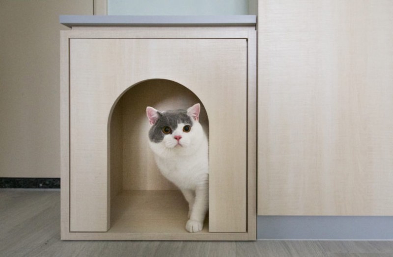 Квартира в Гонконге для двух поколений семьи и их любимых домашних животных Квартира в Гонконге для двух поколений семьи и их любимых домашних животных