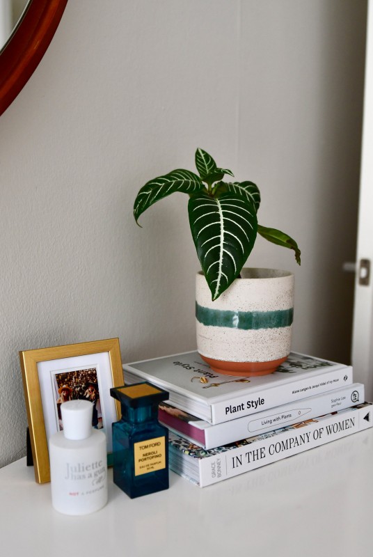 Теплые древесные акценты и живая зелень в интерьере  квартиры в Сан-Франциско