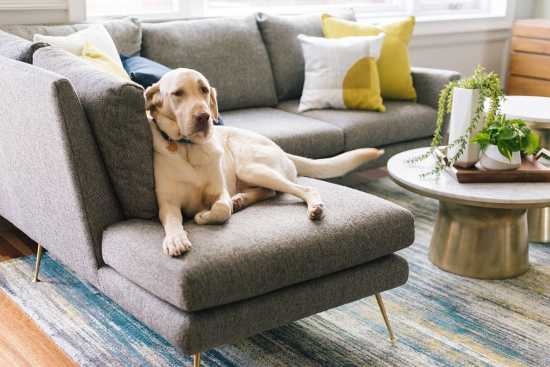 Прохладные цвета и медные акценты в интерьере просторных чикагских апартаментов Прохладные цвета и медные акценты в интерьере просторных чикагских апартаментов