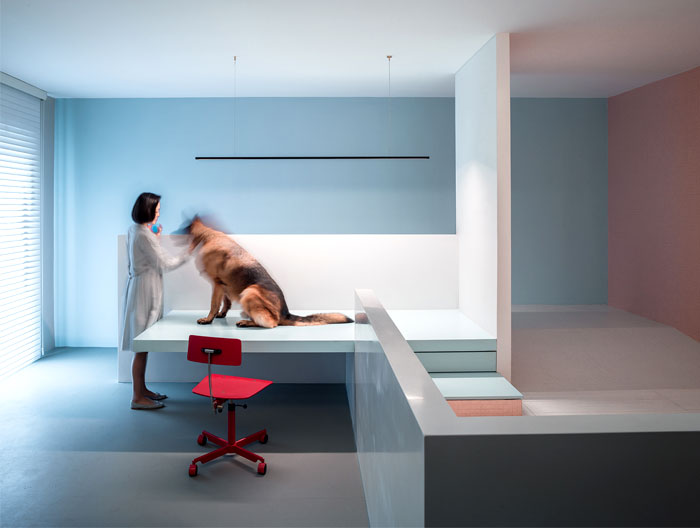 Жилой проект Dog House, предназначенный для владельцев и их любимой собаки