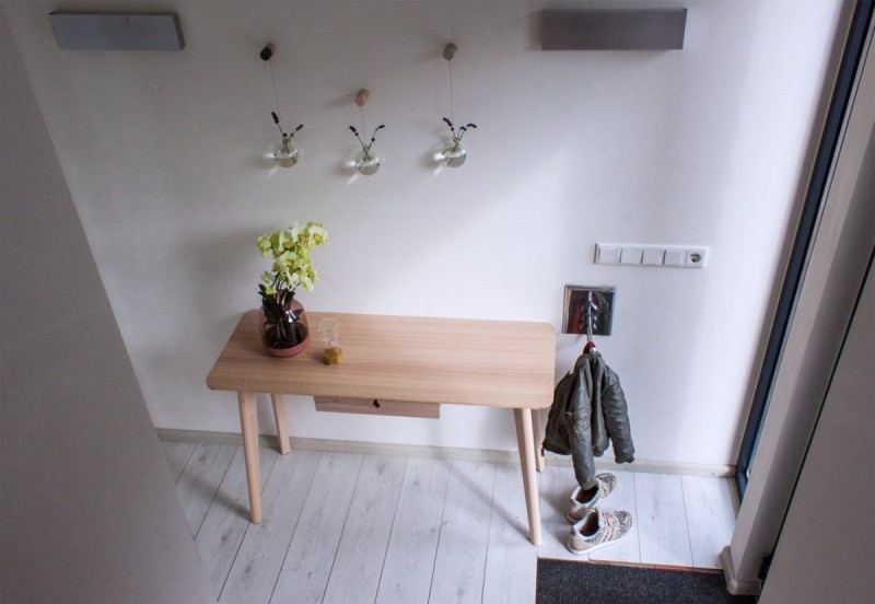 Интерьер дома-эллинга в Амстердаме