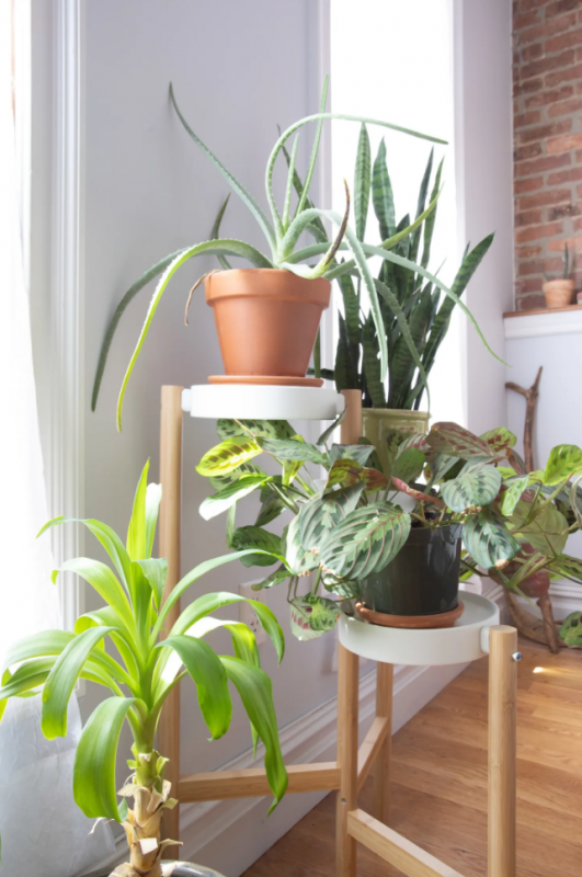 Дизайн квартиры-студии в стиле "эклектика" Дизайн квартиры-студии в стиле "эклектика"