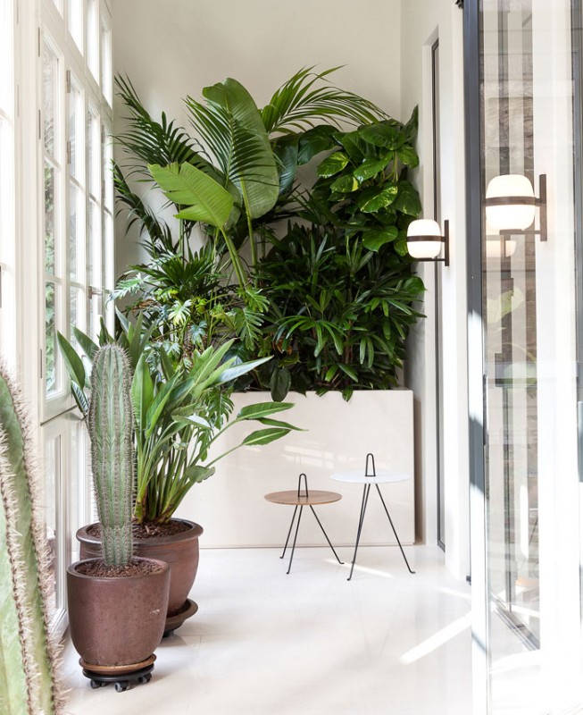 Кухня, спрятанная за элегантными стеновыми панелями в жилом проекте Barcelona Кухня, спрятанная за элегантными стеновыми панелями в жилом проекте Barcelona