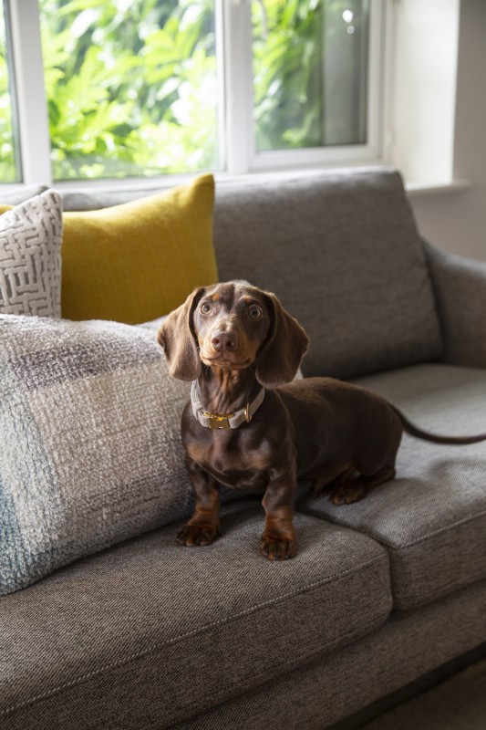 Интерьер уютной гостиной в лондонском таунхаусе