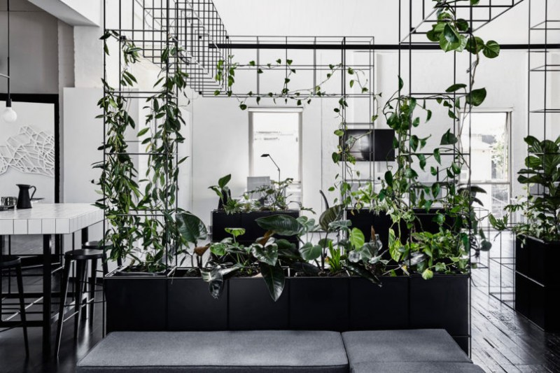 Черно-белый интерьер и живая зелень в офисе в Мельбурне Черно-белый интерьер и живая зелень в офисе в Мельбурне