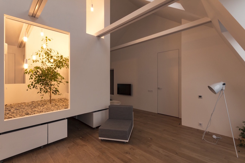 Мини-сад в многофункциональной квартире