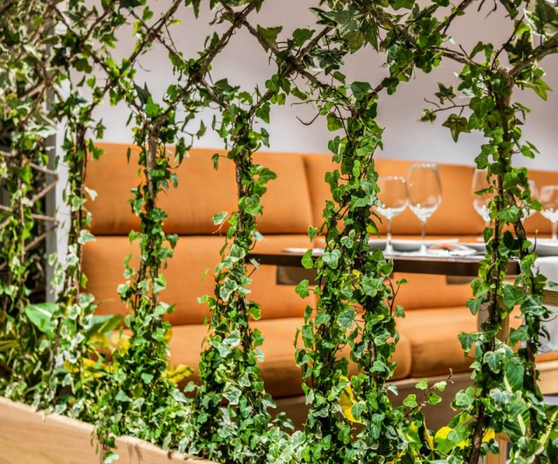 Ресторан средиземноморской кухни в Румынии