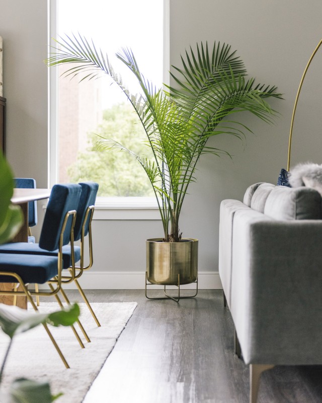 Стильный интерьер квартиры в Даунерс-Гроув, штат Иллинойс