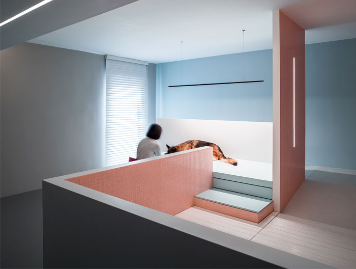 Жилой проект Dog House, предназначенный для владельцев и их любимой собаки