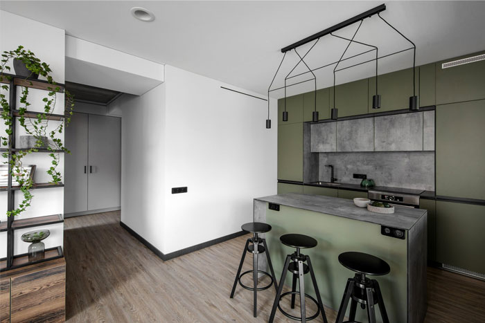 Зеленые акценты в декоре литовской квартиры