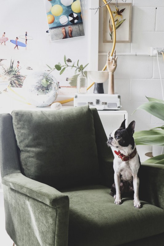 Апартаменты дизайнера в приморском городе Байрон-Бей, Австралия