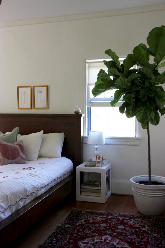 Интерьер просторного старинного дома в Северной Каролине