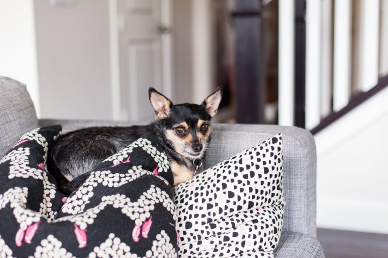 Творческий дом фотографа из Миннесоты