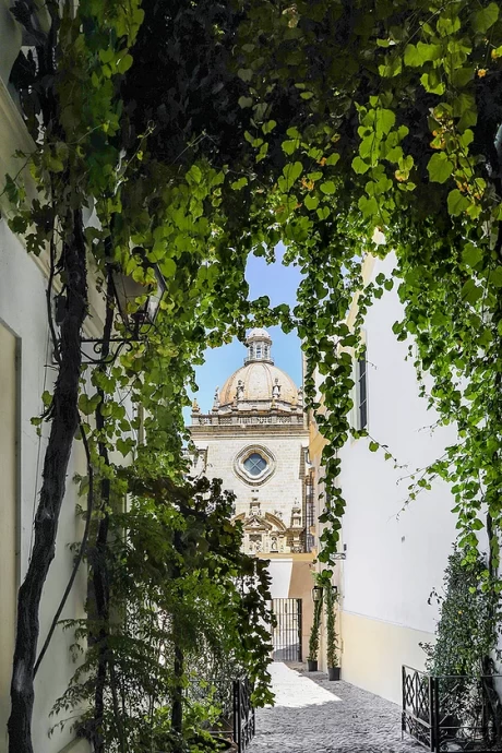 Отель Bodega Tío Pepe в Херес-де-ла-Фронтера, Кадис, Испания