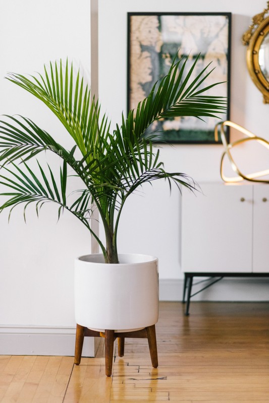 Просторная лофт-студия в Провиденсе, Род-Айленд