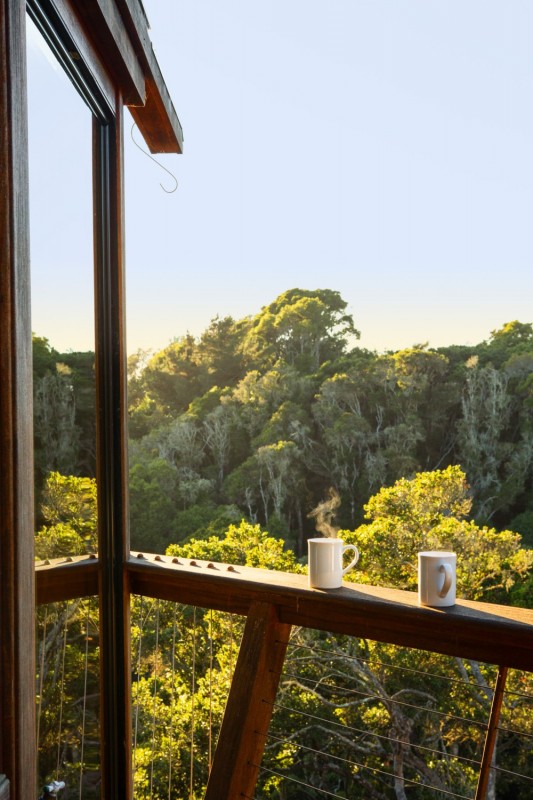 Панорамный вид на лес в уединенном "домике" на дереве Панорамный вид на лес в уединенном "домике" на дереве