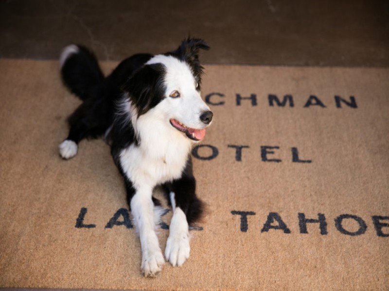 The Coachman Hotel: современный мотель в Саут-Лейк-Тахо, Калифорния