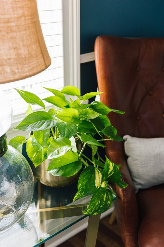 Прохладные цвета и медные акценты в интерьере просторных чикагских апартаментов Прохладные цвета и медные акценты в интерьере просторных чикагских апартаментов