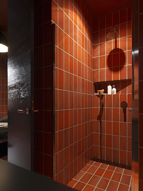 Акцентная стена в интерьере литовской квартиры