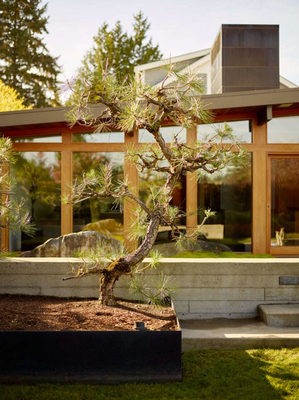 Простые формы и ощущение японского спокойствия в дизайне дома в Белвью, Вашингтон Простые формы и ощущение японского спокойствия в дизайне дома в Белвью, Вашингтон