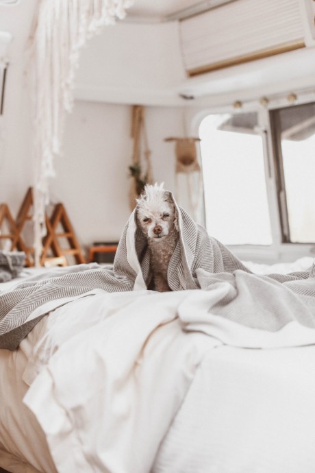 Трейлер Airstream, принадлежащий музыканту Райану Санчесу и дизайнеру Шине Армстронг Трейлер Airstream, принадлежащий музыканту Райану Санчесу и дизайнеру Шине Армстронг