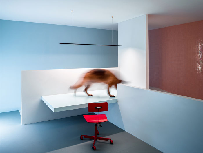 Жилой проект Dog House, предназначенный для владельцев и их любимой собаки